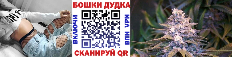 APVP Новомосковск