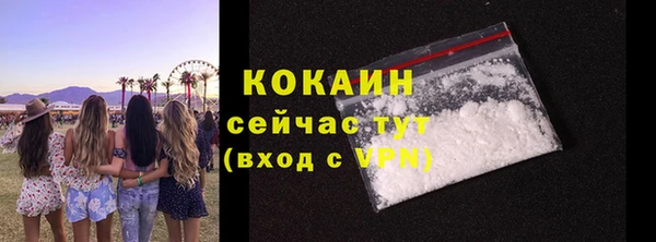 мдпв Вяземский