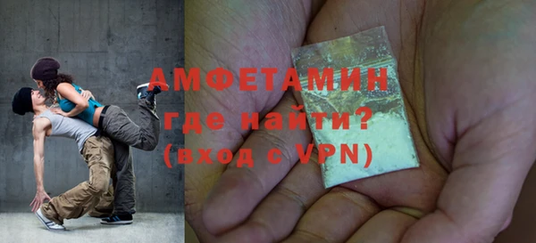 мдпв Вяземский