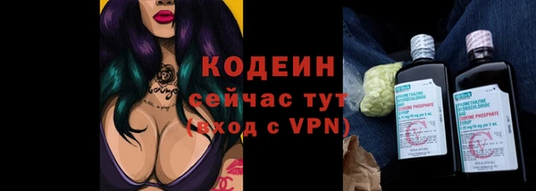 мдпв Вяземский