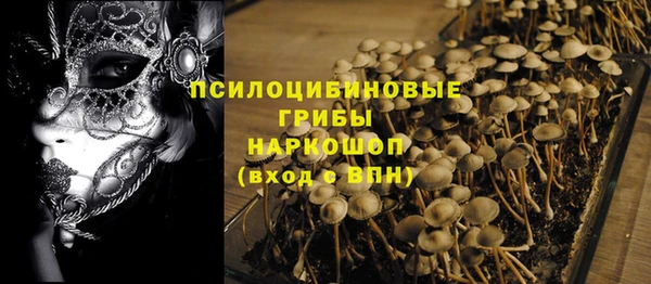 мдпв Вяземский