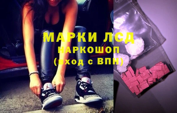 мдпв Вяземский