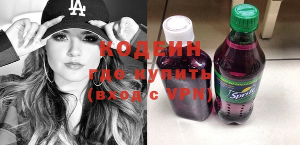 мдпв Вяземский