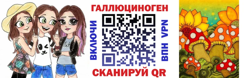 kraken вход  где купить наркоту  Новомосковск  Галлюциногенные грибы мухоморы 
